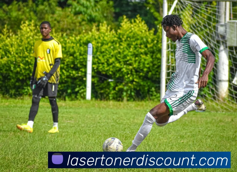博万体育网站平台生态图